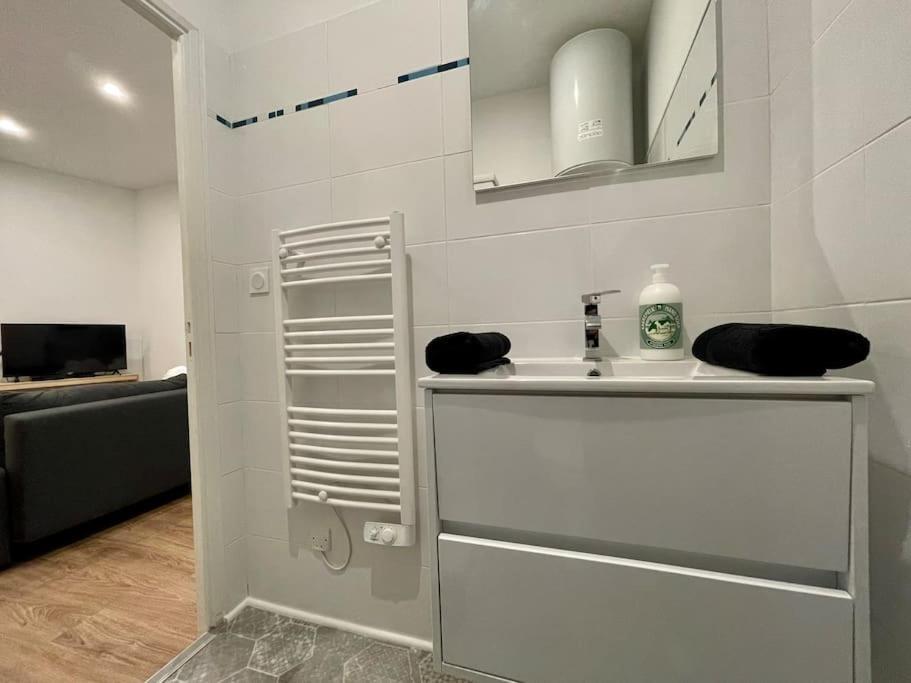 Les Appartements D'Arthur - Pont-Neuf Carcassonne Ngoại thất bức ảnh